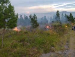 Karhutla Kepung Sejumlah Wilayah, Lebih dari 108 Hektare Lahan Terbakar dalam Dua Hari